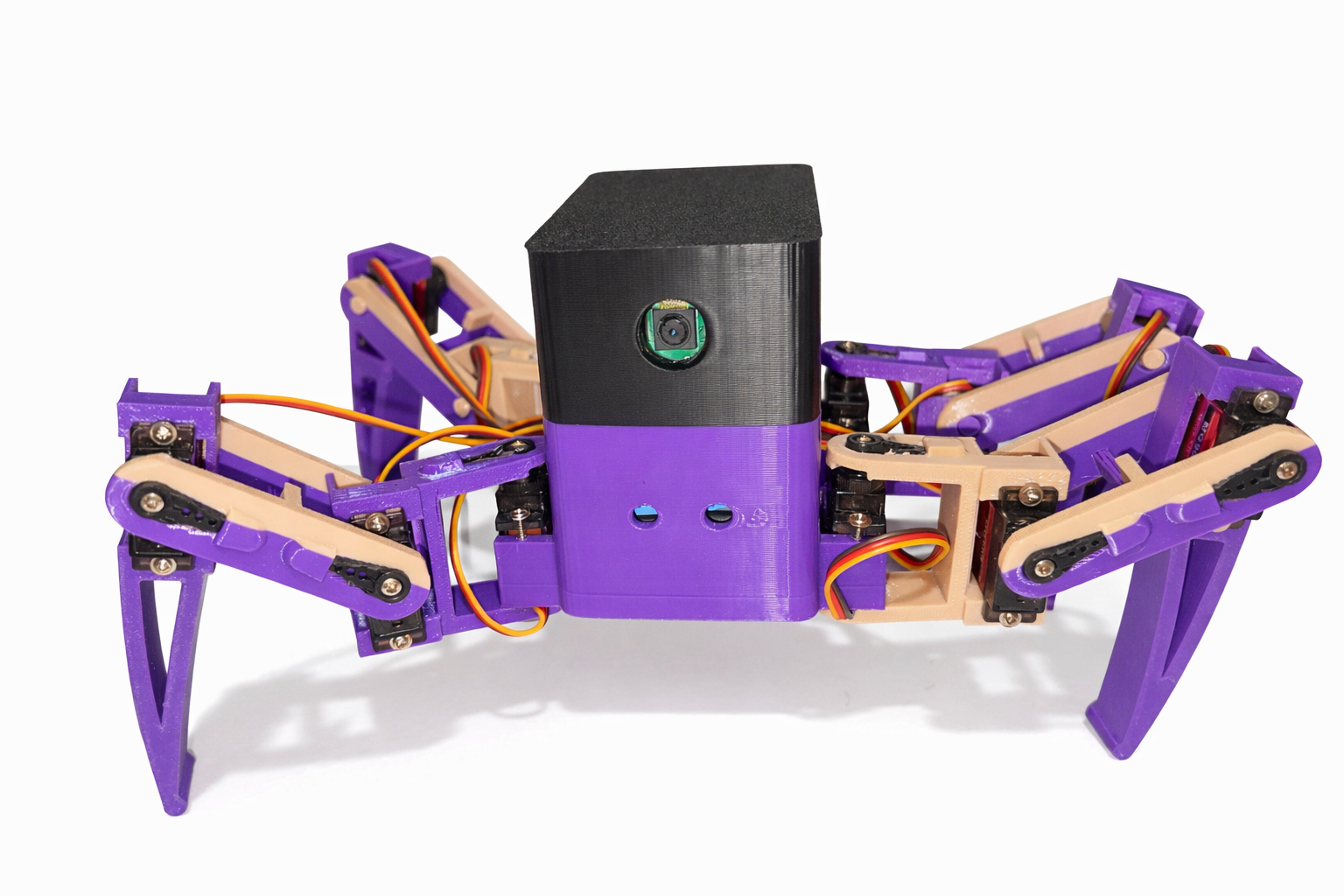 Spider Bot (GAGAMBOT)